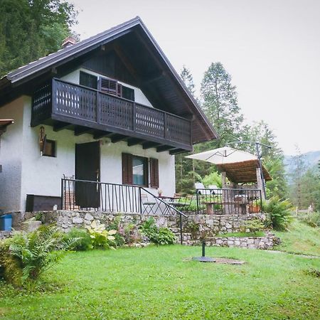 Naturalina Holiday House Gorenja Trebusa Eksteriør billede