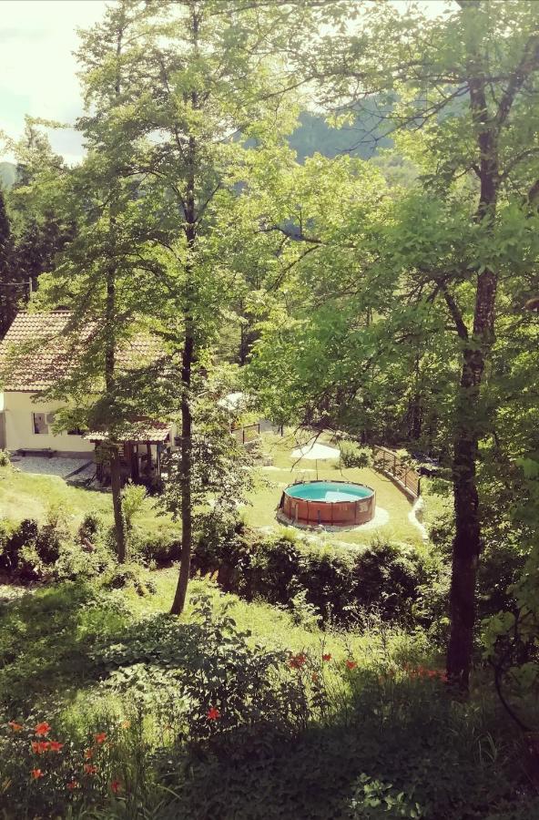 Naturalina Holiday House Gorenja Trebusa Eksteriør billede