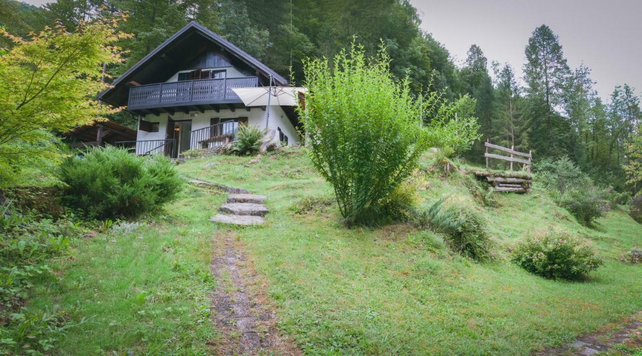 Naturalina Holiday House Gorenja Trebusa Eksteriør billede